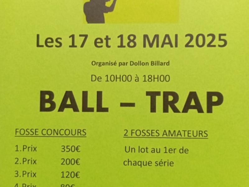 Ball Trap - Dollon Billard