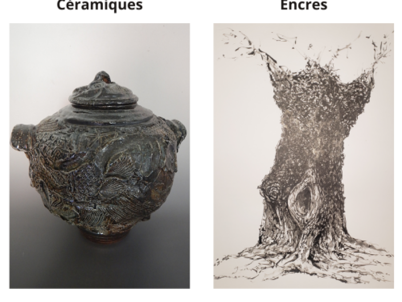 Expo galerie du musée - Lucie Becuwe et Régis Dude